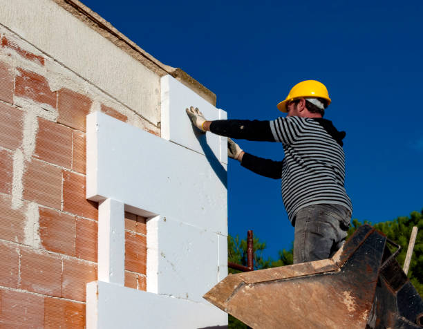 Best Eco-Friendly Insulation in La Plata, NM