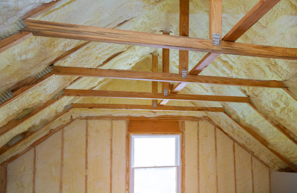 Best Spray Foam Insulation in La Plata, NM