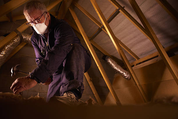 Best Insulation for Specific Applications in La Plata, NM